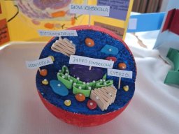 58942547513148873771058745918561517010107802n